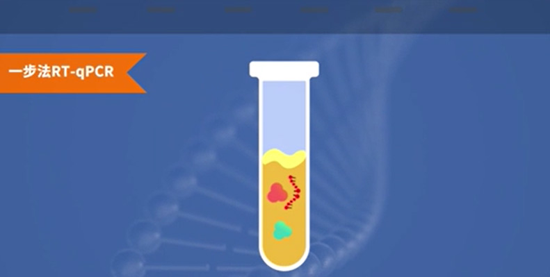 一步法RT-qPCR