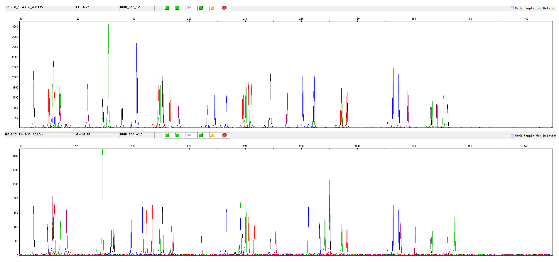 全血直扩PCR Mix