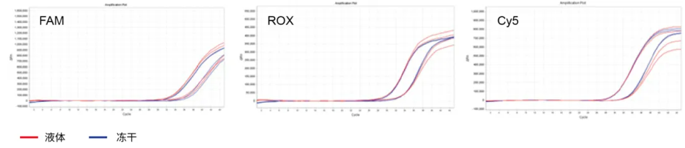 上新 | 冻干DNA Mix及RT-PCR Mix，助力常温检测试剂开发