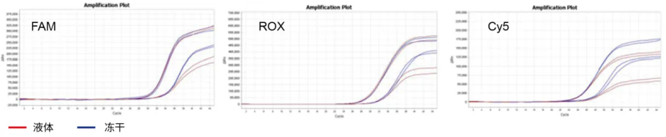 上新 | 冻干DNA Mix及RT-PCR Mix，助力常温检测试剂开发