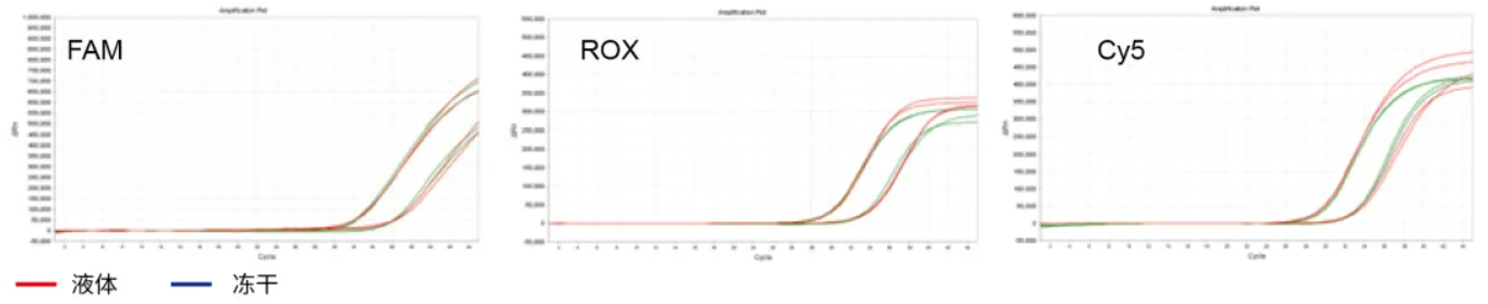 上新 | 冻干DNA Mix及RT-PCR Mix，助力常温检测试剂开发