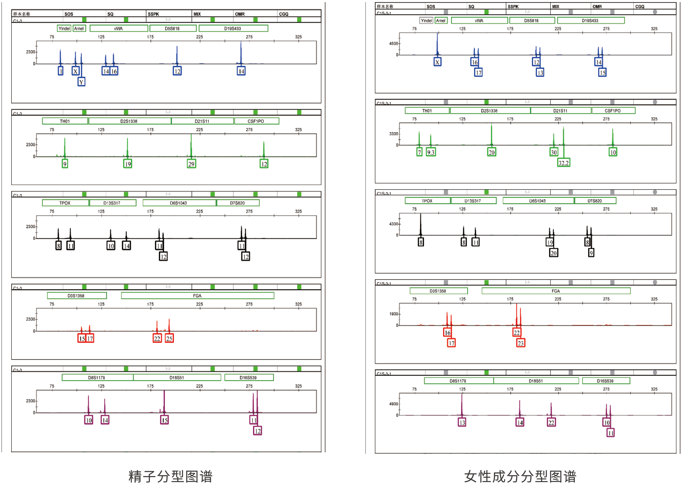 精斑差异化提取试剂盒